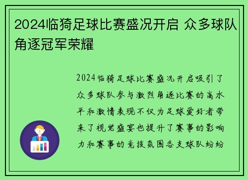 2024临猗足球比赛盛况开启 众多球队角逐冠军荣耀