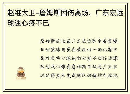 赵继大卫-詹姆斯因伤离场，广东宏远球迷心疼不已