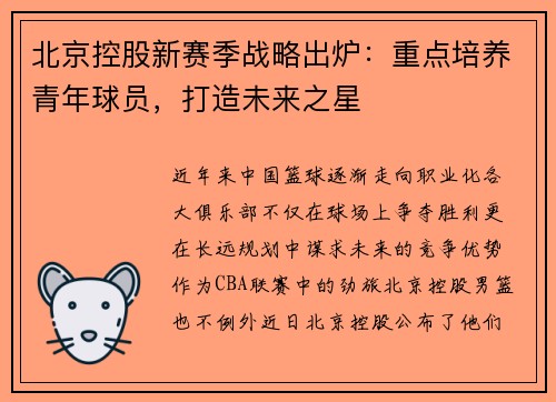 北京控股新赛季战略出炉：重点培养青年球员，打造未来之星