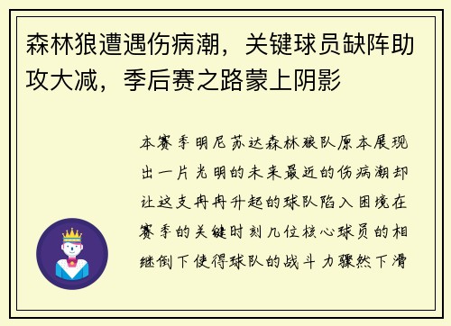 森林狼遭遇伤病潮，关键球员缺阵助攻大减，季后赛之路蒙上阴影