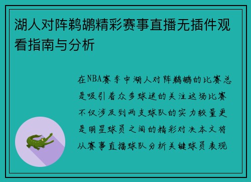湖人对阵鹈鹕精彩赛事直播无插件观看指南与分析